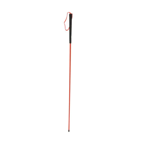 Carrie Pawpins Dog Training Enrichment Lure Stick -  Canada