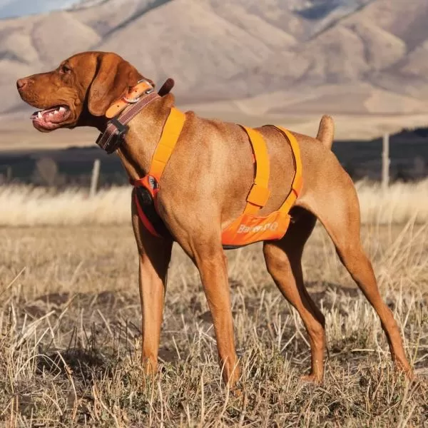 Browning clearance dog vest