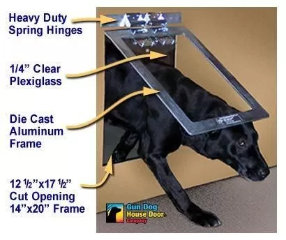 Dog door that opens with clearance collar